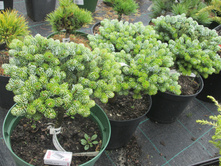 ����� ���. ������ ��������� 3800