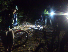 ������ �������� 2015