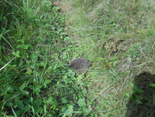 DSCN1664.JPG