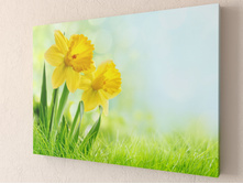 ������ ��������.jpg