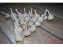 ������ ������. 1 �� 250 ���