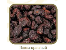 ���� ������.jpg