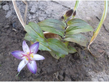 ��������� �������