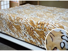 009 ���������-���� (�������) �����