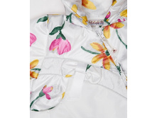 431� ����� ������.jpg