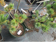 �.�.���.������ �����2200