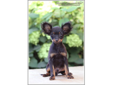 3 ������