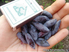 ��������� ��������� �9-165�