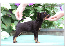 2 ������