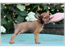 2 ������