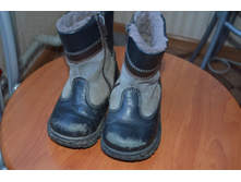 ������ ������