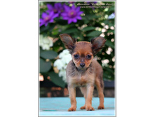 2 ������