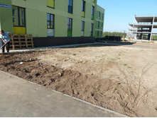 � ������ 46 ���)