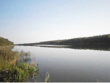 �� ����� �� ����