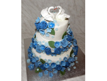 ��������� ����� ������.jpg