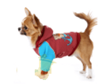 ������ �������.png