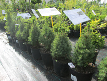 ������490