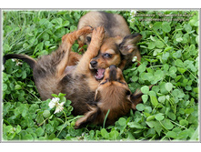 2 ������