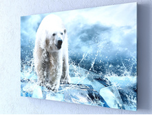 ����� �������.jpg