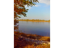 IMG 20150923 131423.jpg