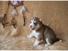 №4 �������