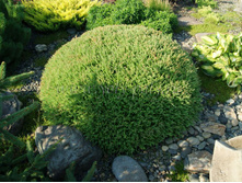 ��� Mr.Bowling Ball 20-25cm C3-11,13.jpg