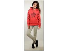 Big cat a86a5ba790994d088d394c9059cfc29c.png