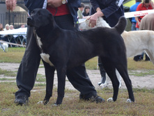 ���� �������