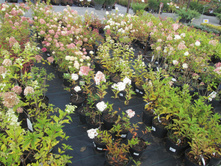 ��������� ���-������.�� 390