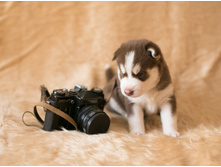 №1 �������