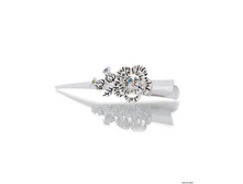 ������� PACP041410.jpg