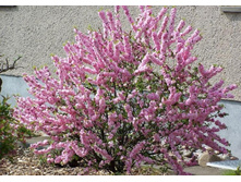 ����� ���������� ����� �����-167