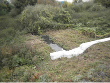 ����� �������.