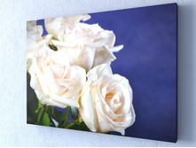 ������� ����.jpg