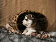 №1 �������