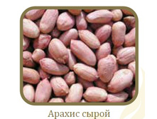 ������ �����.jpg