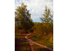 IMG 20150923 134303.jpg