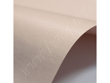 Misty Rose - �������� ������� ��������