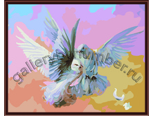 ������ �������: GL5288 505 ������