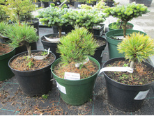 ����� �������� �����.���������2100-�.�.�.�����2200-�.�.� ��.������2100