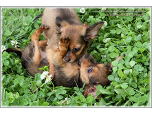 2 ������