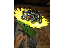 ��������� ������� (19 ������)