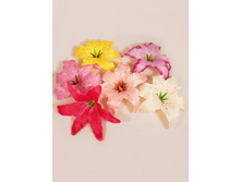 406/0128� ������ ����� ��������� 20cm(24 ��.)