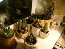 IMG 0172.JPG