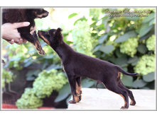 3 ������