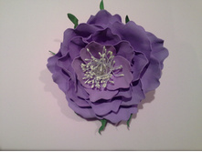 20150915 000456.jpg