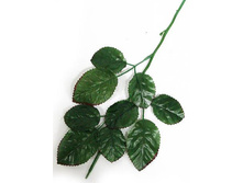 405/0126B ���� ��� ���� 23"