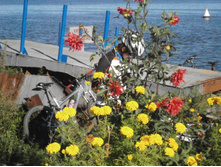 ��������