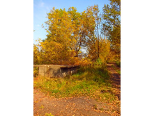 IMG 20150923 125609.jpg