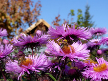 P1050320.JPG